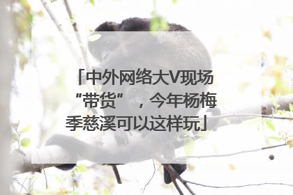 中外网络大V现场“带货”，今年杨梅季慈溪可以这样玩